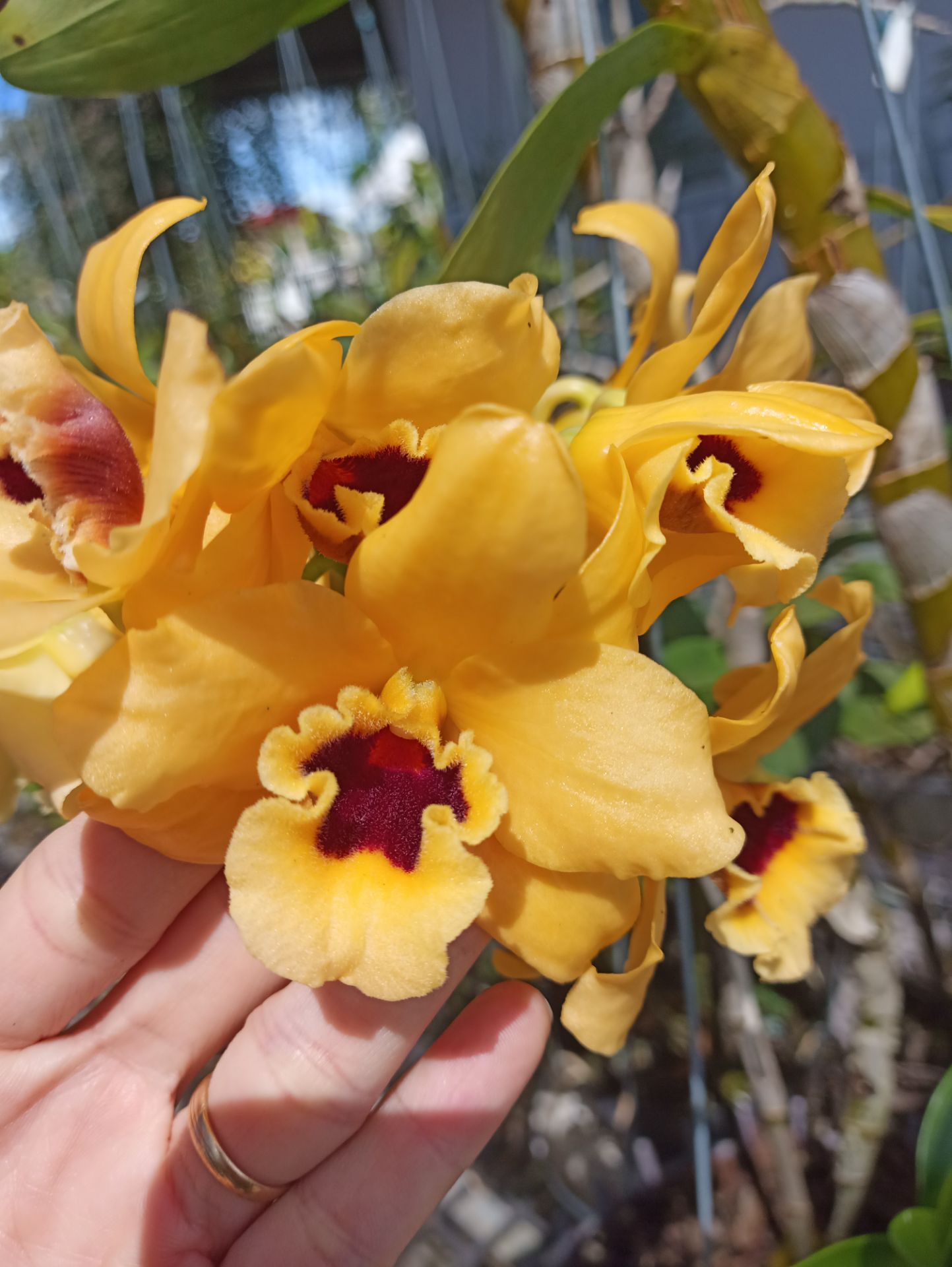 yêu thương vô điều kiện là nguồn năng lượng cảm hoá nhân tâm