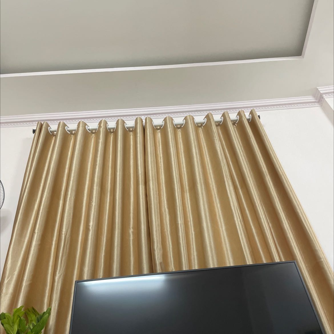 Rat đẹp sẽ ủng hộ tiếp