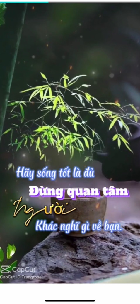 Chính hãng rất tin tưởng nhà ỏibe đóng gói kỹ shiper thân thiện vui tính cảm ơn shop nhiều ạ