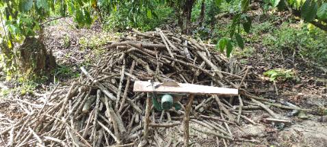 Ổn. Cưa cả tiếng đồng hồ mà máy âm ấm. Khung máy khá ổn. Lưỡi cưa tặng kem sắc bén. Nói chung hơn 800k thì ko có j để chê hết