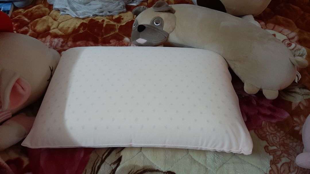 Mình đã nhận được gối sau 2 ngày chờ đợi. Thông tin trên gối rất rõ ràng. Chất lượng thì khỏi bàn rồi, êm ái và đàn hồi rất tốt, nằm rất thoải mái, k có tình trạng bị mỏi vai cổ so vs gối thông thường nữa.
Mn nên hiểu là, k phải gối càng to rộng càng tốt, mà gối cần phù hợp vs yêu cầu tình trạng sk và phù hợp vs đầu. Ví dụ mình cao m6 nặng 47kg, lại có sở thích nằm sát đầu giường, nằm nghiêng, xoay ng tại 1 vị trí chứ k xoay đẩy ng, điểm nằm là vai sát chân gối, ngủ k ngáy, ngủ 1 mình...Thế nên gối Oval là lựa chọn của mình. Chiều dài rộng cao của gối đều phù hợp vs mình. Tuy nhiên mình nghĩ chiều cao cần cao hơn 1 chút thì perfect hơn. Nếu như vậy mình lại phải chọn loại to hơn.
Nhìn chung là các bạn cân nhắc để lựa chọn gối phù hợp vs bản thân để bảo vệ sk cho mình và cả gđ.