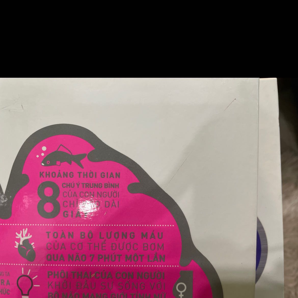 Bìa sách bị trầy xước, có một đường dài như bị cắt trúng. Mặc dù bên trong không vấn đề gì nhưng về mặt thẫm mĩ thì nó trở thành hàng cũ và xấu. Hơi bẩn nhẹ nhưng tôi đã bôi đi rồi. Móp nhẹ bìa nhưng không đáng kể. Nhưng vẫn tiếc thì vết xước trên bìa lớn quá :(((