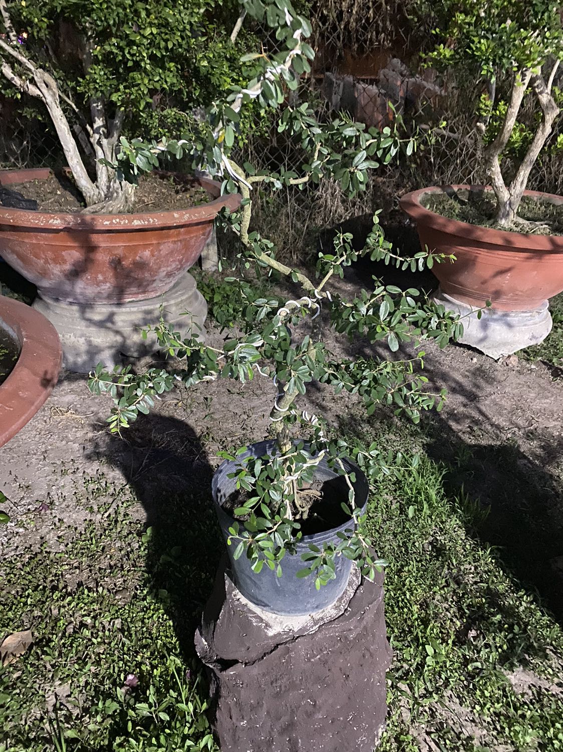 Sách hay, nhiều bài học áp dụng thực tế liền, nuôi dưỡng tâm hồn người mẹ người cha để dạy con tốt hơn, tâm lý hơn