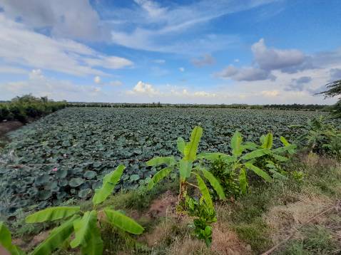 Chất lượng ổn, cân nhất khi mua lại