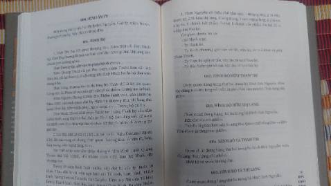 Với một lượng từ mục phong phú (gần 2000) trải dài qua nhiều thời đại cho thấy sự đầu tư công phu của tác giả trong việc khảo cứu và biên lục giúp người đọc thấy bức tranh vừa tổng thể vừa hết sức chi tiết về hệ thống quan chế trong các triều đình phong kiến Việt nam. Công trình này có thể coi là một công cụ hữu ích cho độc giả sử dụng khi đọc hay nghiên cứu lịch sử cổ, trung đại Việt Nam.
Dù vậy nhưng tác phẩm này theo cá nhân tôi vẫn có nột số hạn chế. Việc không nhất quán trong cách biên tập, trình bày các mục từ dẫn đến nhiều nội dung bị trùng lắp, thừa thãi trong khi nhiều nội dung khác còn sơ sài đặc biệt ở một số từ mục vẫn thiếu phẩn giải nghĩa nội hàm tên gọi và chức năng nhiệm vụ của chức quan hay cơ quan. Sẽ hợp lý hơn nếu lấy việc trình bày các “chức quan của Việt Nam “ làm trọng tâm,  tên chức quan, cơ quan, quan chế các thời phong kiến Trung Quốc dù là cơ sở quan trọng cho việc khởi đặt, tham khảo cho quan chế Việt nam cũng chỉ nên đặt, trình bày ở vị trí phụ chú hay chú thích.