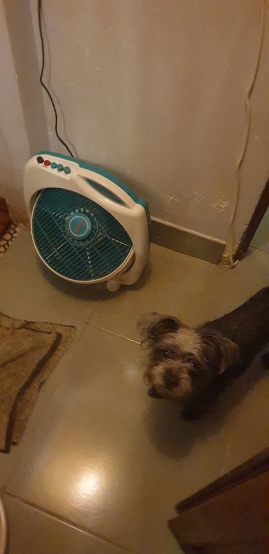 Hàng khá với số tiền mua. vì tiếng động cơ ko êm như các hãng Japan thì giá cao. Ủng hộ hàng VN chất lượng bền và có cố gắng cải tiến.