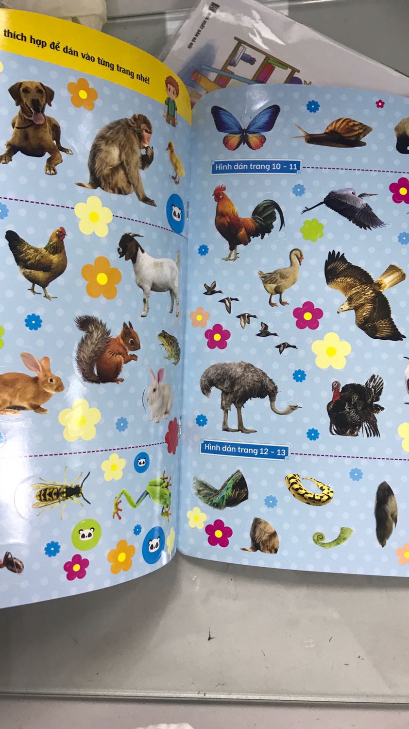 Giao hàng nhanh, sách màu bắt mắt, giấy tốt