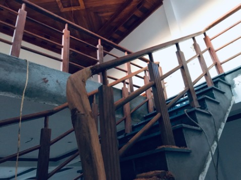 Hai cái bát sen nhìn vui vui