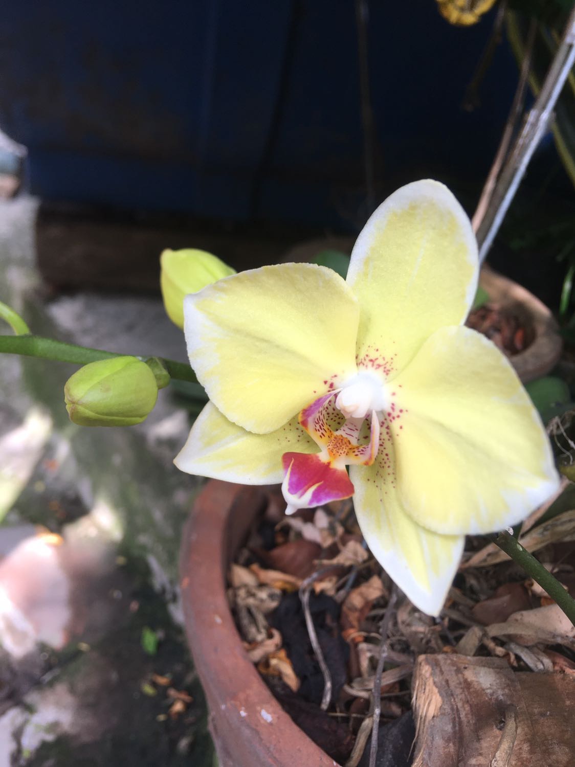 Chưa dùng nhưng thích vì máy cầm chắc tay, chạy khá êm