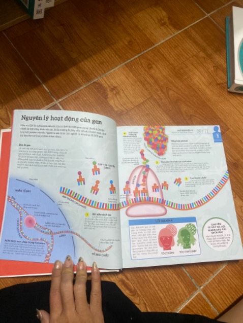 Mình có cuốn giải phẫu học atlas rồi nhưng cuốn này vẫn cần trong bộ sưu tập,vì từ vựng cơ thể học vừa đủ nên sẽ hiểu nhanh hơn cuốn chuyên môn kia