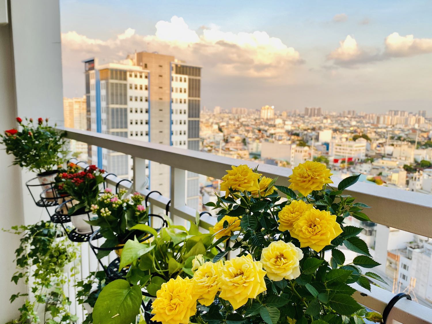 Nói chung vừa tiền, nhưng tiki bảo vệ môi trường thì bớt quấn nilong kỹ như vậy. Hôm nay mình đã mua 6 cái.