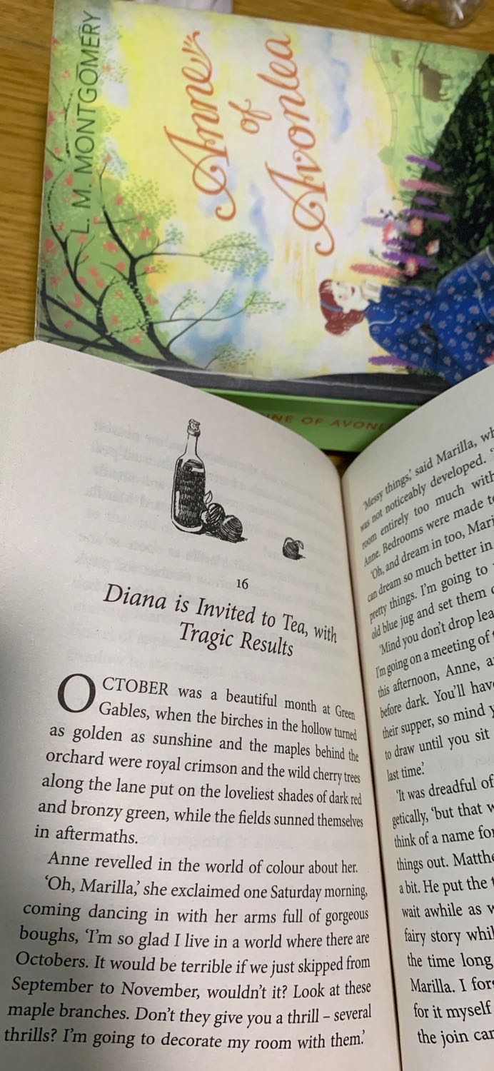 Cực kỳ ưng bản Vintage classics này luôn. Bìa đẹp, font chuẩn, giấy ok. Chỉ tiếc là Tiki giao trực tiếp từ kho Fahasa nên không có Bookcare. Nội dung thì khỏi bàn, quyển hay nhất bộ truyện.