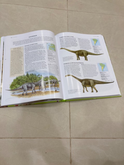 Cực kì chất lượng, mua dược với giá sale 40% nữa, nhóc nhà 5 tuối cực thích