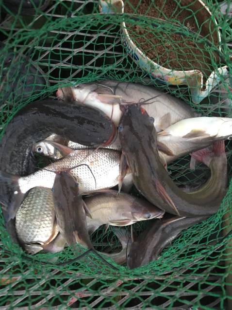 Giao hàng nhanh giá rẻ, phù hợp . Phụ kiện đầy đủ, ok rồi.