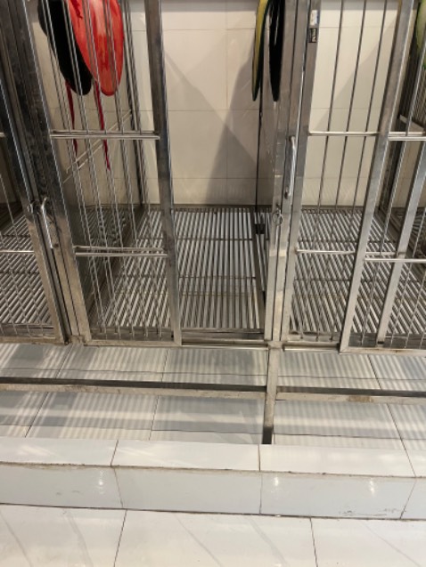 Âm đùng được thôi.đun bếp từ không nhanh lắn.