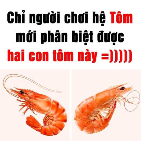 Chất lượng lắm nha, đóng hộp cẩn thận gọn gàng