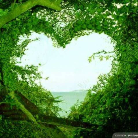 Hài lòng với sản phẩm