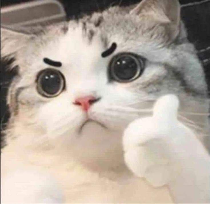 shop giao hàng nhanh, đóng gói cẩn thận, sữa ngon