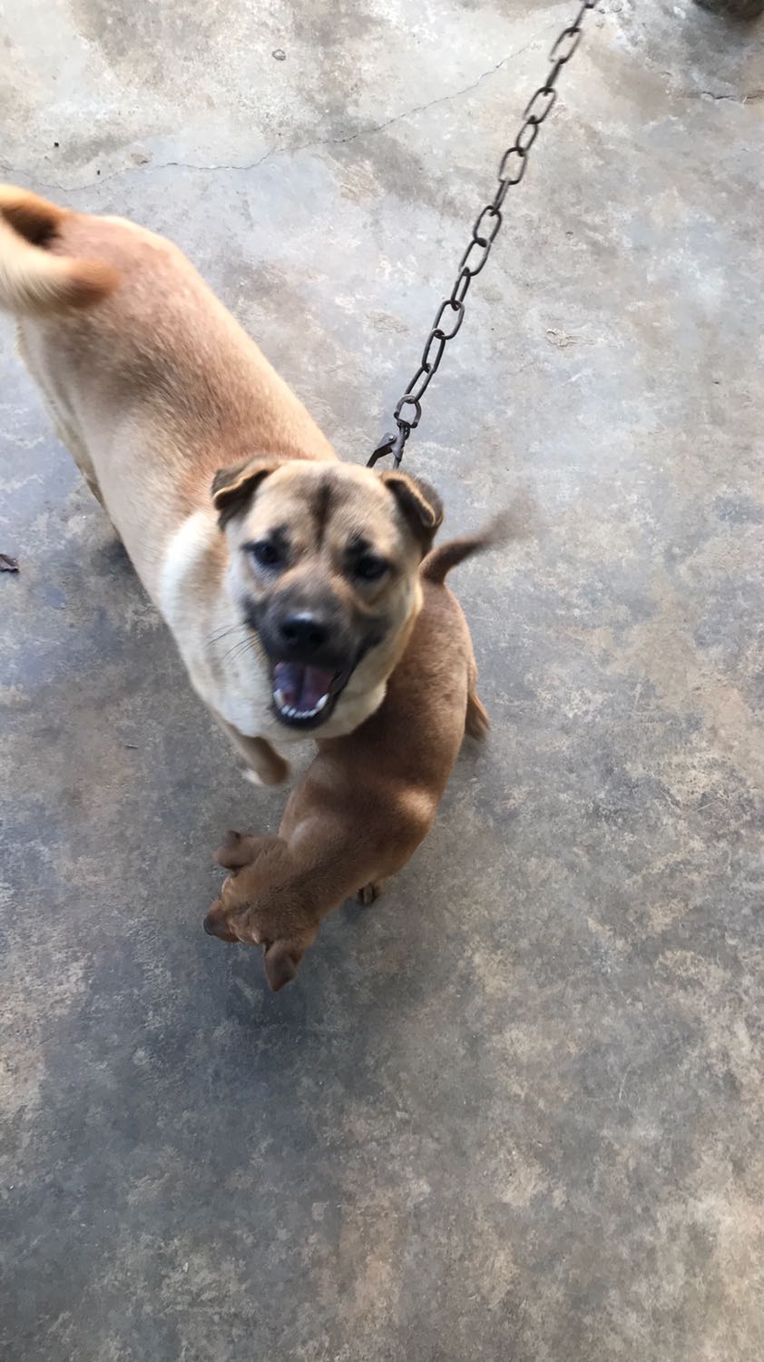 Bọc hơi sơ sài nhưng không bị móp, giao hàng nhanh, sách tốt. Cho shop 5 sao nhé