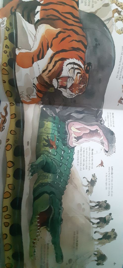 Vẫn là cách trình bày của Big Book, đồ sộ và hấp dẫn. Lần này nhận sách vuông thành sắc cạnh, không móp méo chút nào. Hài lòng!