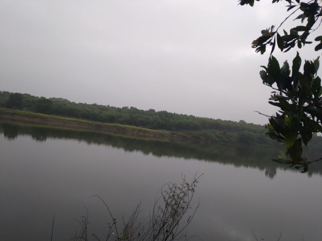 mình thấy khá thụ vị, thích hợp mua cho trẻ học online