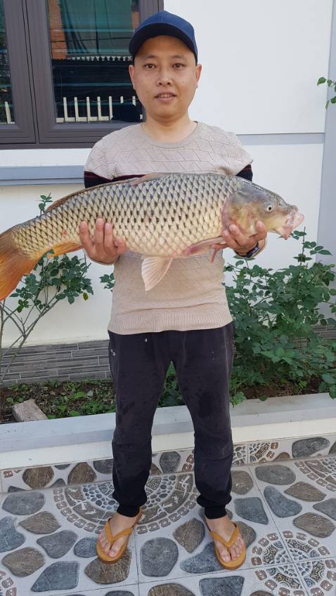 Quá ok quá tuyêt vời chị shipper vui tính thân thiện jsjznkajjxjanxjjsnxisnnxisjxuiwncjskjcjsjd