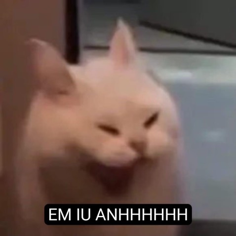 Sách hay, giấy êm tay lắm luôn