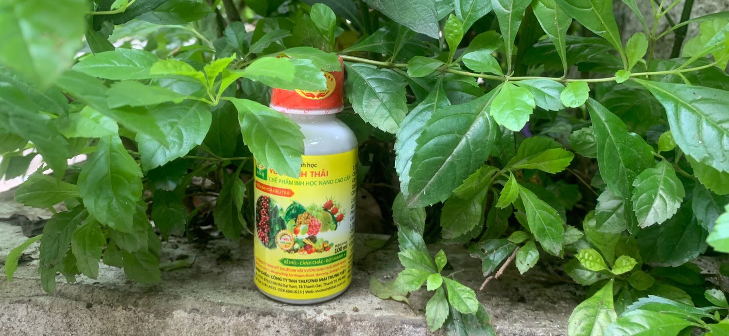 Đúng là phân bón xịn sò
Dùng rất thích
Cây khỏe lá xanh bóng mượt
Hoa nở đẹp sáng