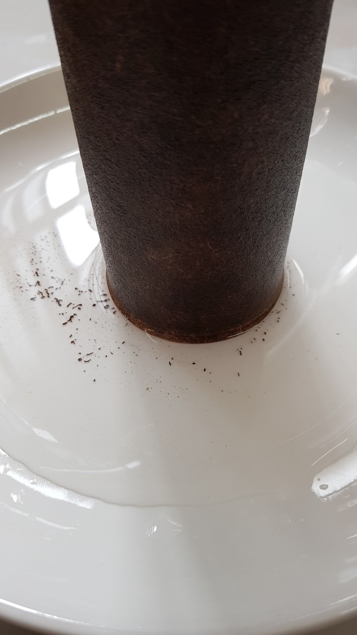 Sau khi gắn thêm bộ lọc này để lọc lại nước máy, đều mình ưng ý nhất chính là phát hiện ra nước máy sau một tháng được lọc bằng lõi lọc thì lõi lọc đen nhớt, thật đáng sợ vì trước đây mình đã không gắn lọc sớm để cả nhà dùng nước được an toàn hơn.