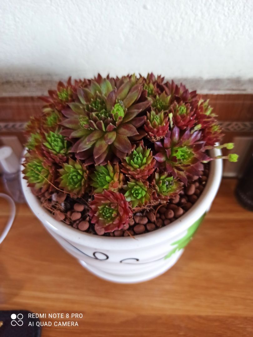 Shop đóng gói cẩn thận,giao hàng nhanh,lắp ghép 1 lát là ok rồi. Độ bền thì cần thời gian để đánh giá.Thanks shop!