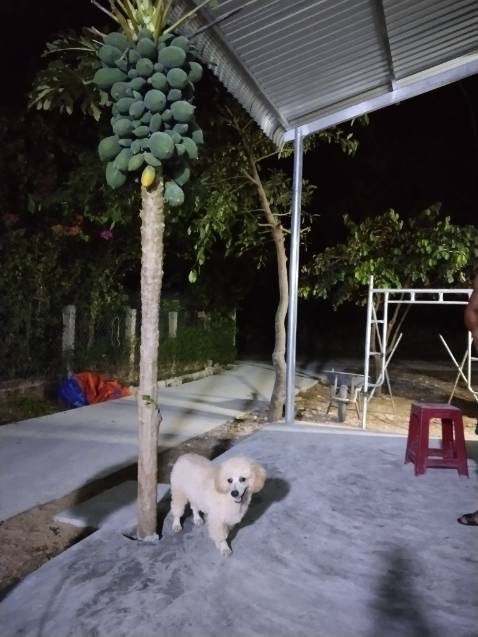 Mềm mịn đẹp .. thấm hút mồ hôi nữa..quá tốt