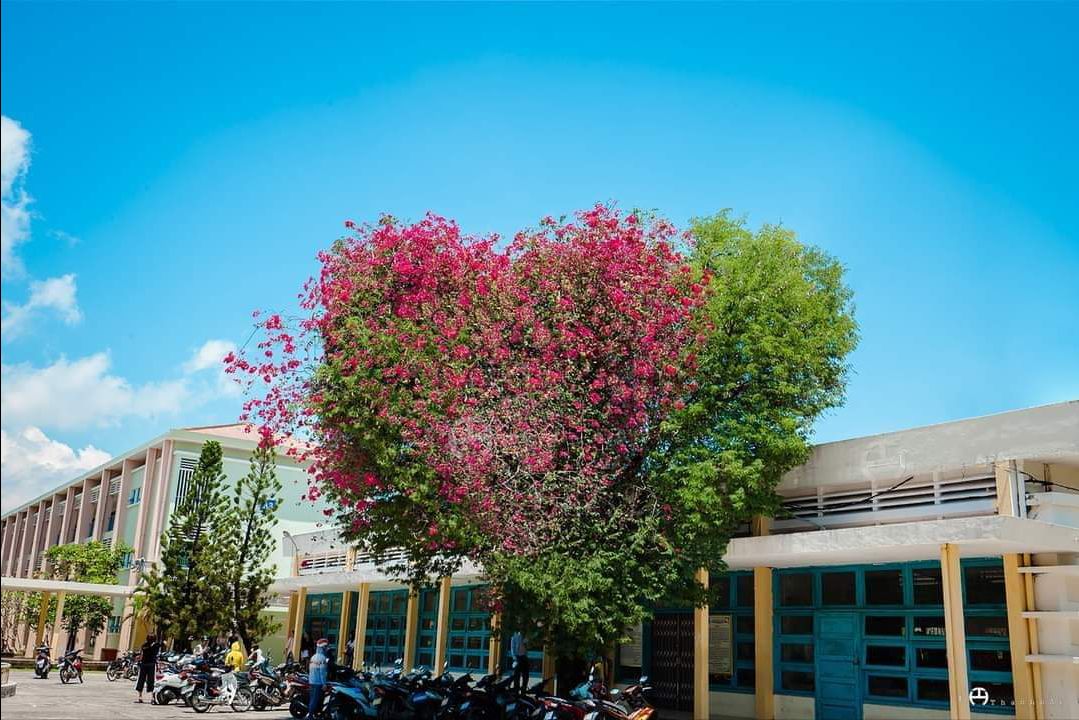 shop giao đủ hàng, 12 con bé bé xinh xinh