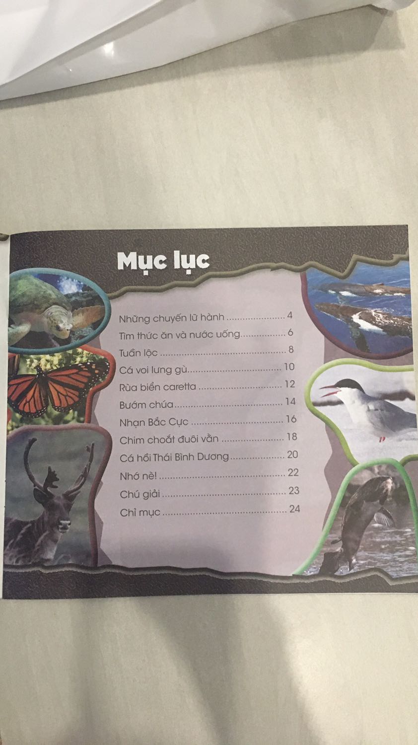 Tiki giao hàng nhanh. Nội dung đơn giản, dễ hiểu. Hình ảnh sống động, hấp dẫn.