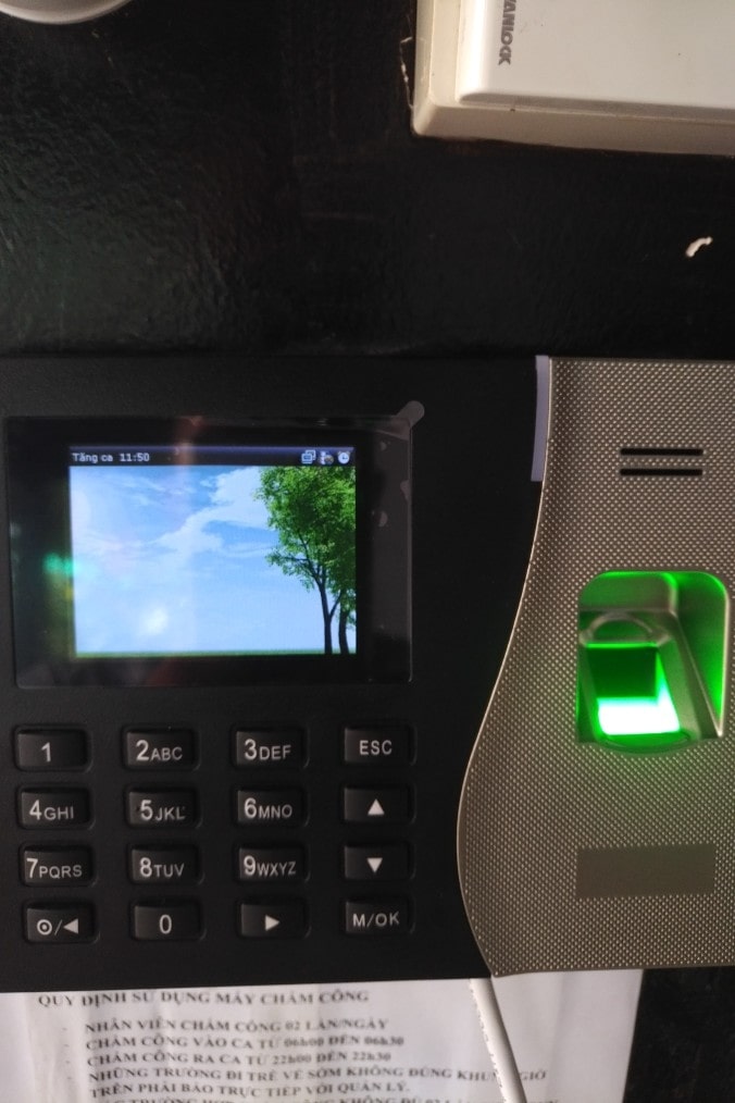 mua shop bữa giờ mà lần nào cũng ổn cả