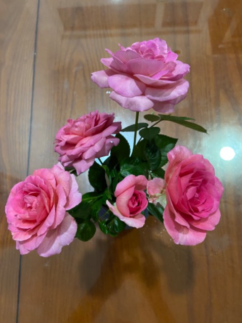Hàng chuẩn tập đoàn Sunhou mình dùng lần 2 rồi. Rất Ok 
Tiki giao hàng nhanh. Hàng chuẩn tập đoàn Sunhou mình dùng lần 2 rồi. Rất Ok 
Tiki giao hàng nhanh.