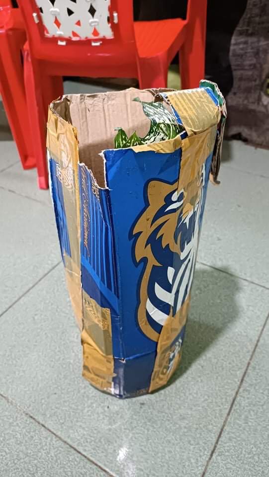 Shop soạn hàng nhanh, giao hàng cũng nhanh. Đóng gói chắc chắn, cây đẹp, to hơn m tưởng.