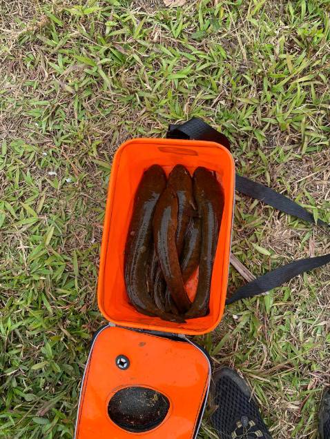 Hàng tốt, đẹp, mà chưa câu nên chưa pik chất lượng ra sao. Giao hơi chậm nhưng tại xa nên ko sao