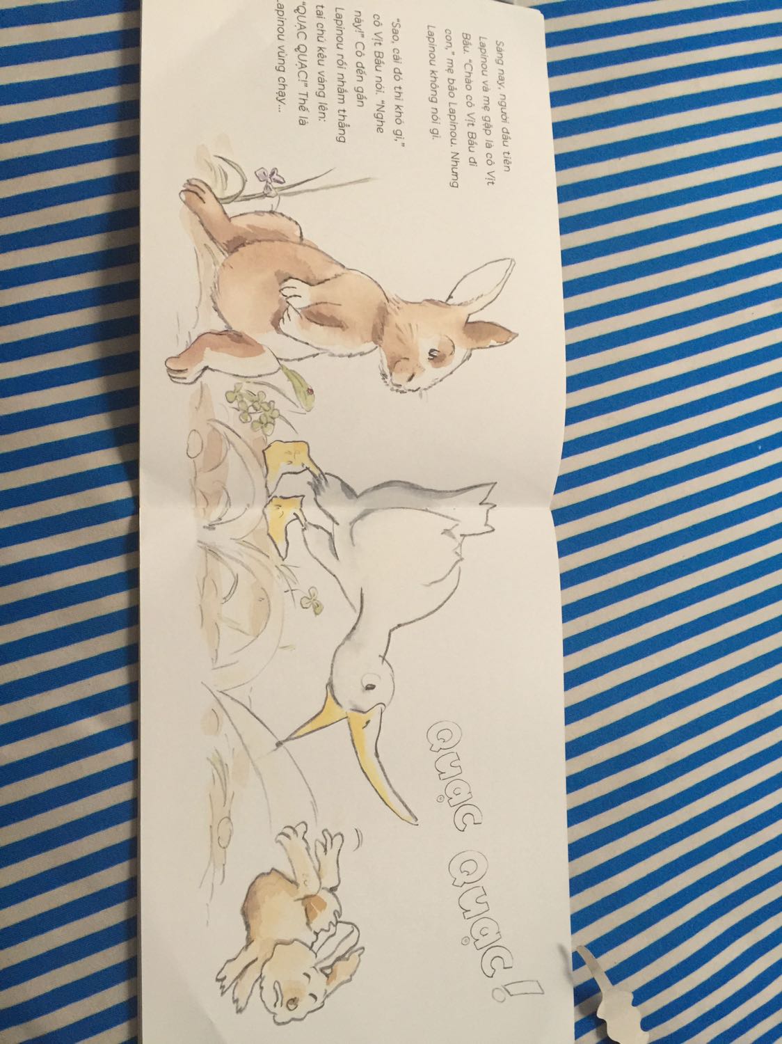 Nội dung sách dễ thương nói về việc ghét chào hỏi mọi người của thỏ con Lapinou nhưng sau lần va chạm với gã sói gian ác ,Lapinou đã có suy nghĩ khác hơn trong việc chào hỏi