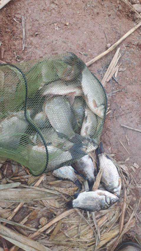 Shop giao hàng siêu nhanhhhhh 👍🏽 chưa đến 2 ngày là có hàng rồi