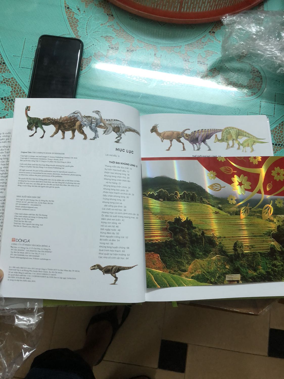 Hàng giao nhanh, đóng hộp cẩn thận, chắc chắn. Cu con mình rất thích vì sách viết rất đầy đủ về các loại khủng long. Sách được đóng bìa dày, đẹp, rất đáng để mua.