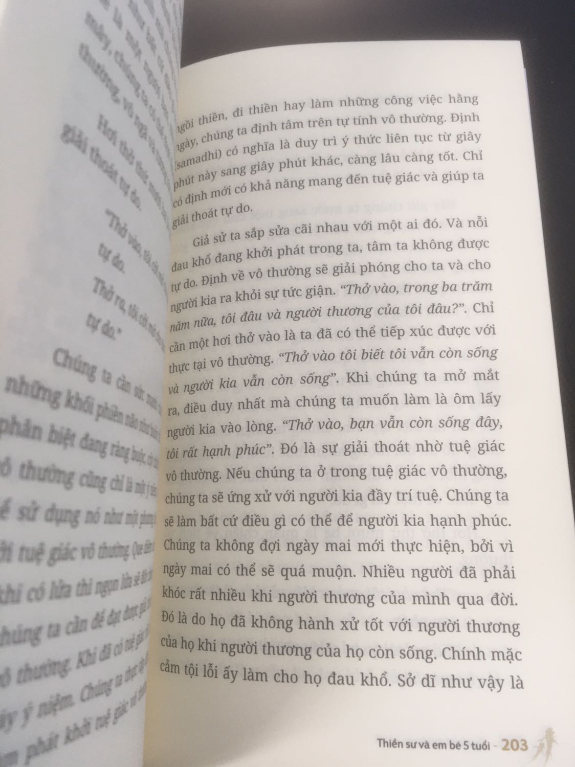 Cuốn sách đầu tiên mình đọc của Thiền sư Thích Nhất Hạnh. Nội dung chủ yếu nói về thiền tập hơi thở, chánh niệm và xoa dịu khổ đau. Đối với một người chưa từng nghiên cứu về tu tập thân tâm, mình cảm thấy có hơi bỡ ngỡ trước nhiều khái niệm được đưa ra (định, hành, tuệ giác, …) nên có lẽ sẽ phải đọc lại nhiều lần để hiểu sâu hơn và thực hành được.  
Mình rất thích cách thiết kế và hình thức của cuốn này. Giấy rất xịn và có mùi thơm. Tuỳ nhiên mình để ý nhà in đã in cùng một nội dung vào trang 201,203 và 205. Đây là lỗi in nên mong bên xuất bản kiểm tra lại.