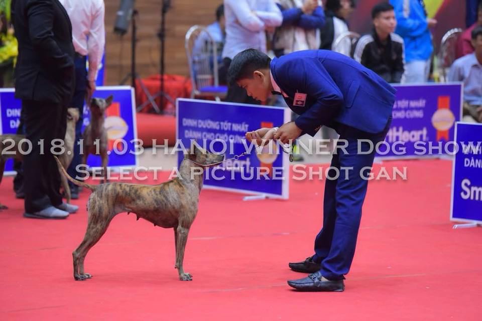 Hggfffcccvghhhhvccccvghhhhhhjjvccvbjjn ccgbbvvvvvvvvvvvggggg . Sản phẩm dùng ok