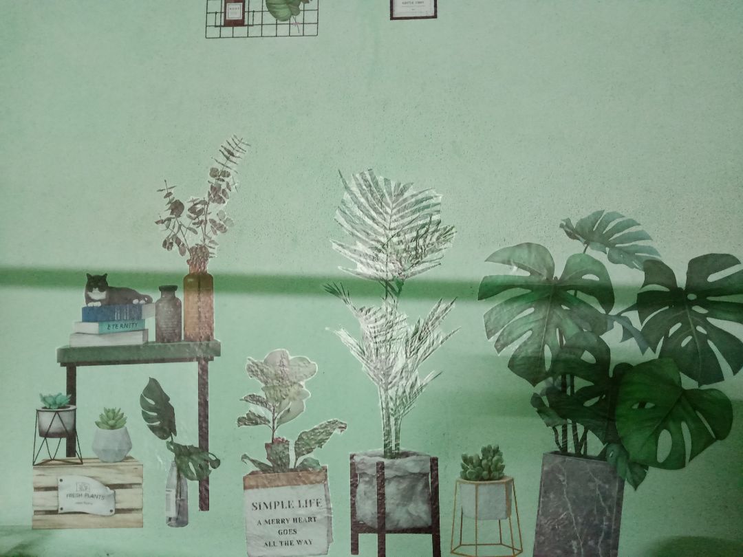 decal đẹp như giới thiệu.