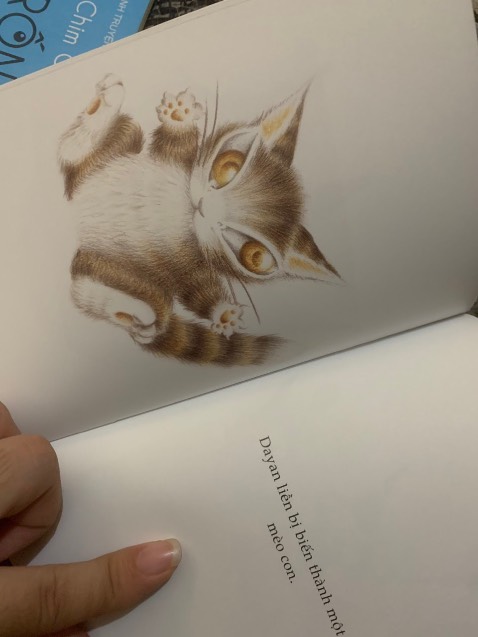 Đã mua nhiều bên sop, sách đẹp ko chê gì nội dung hay