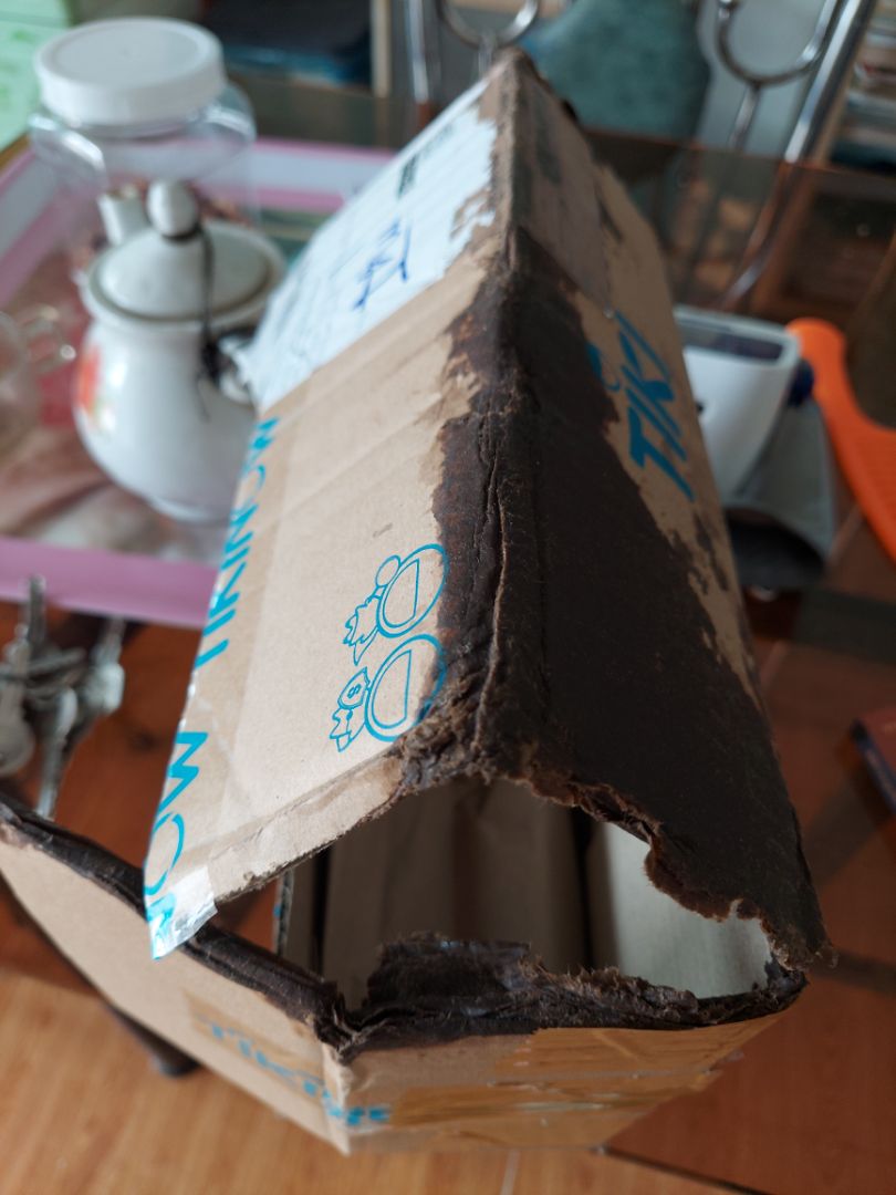 Lúc giao hàng mình k có ở nhà nên người nhà nhận dùm. Về đến nhà thấy gói hàng nhận được như vậy thất vọng thật sự nếu lúc đó mình có ở nhà chắc chắn sẽ không nhận Mấy lần trc cũng đã vậy rồi nhưng mình không viết đánh giá nhưng lần thì không thể chấp nhận dịch vụ đóng gói giao hàng của tiki càng ngày càng tệ.