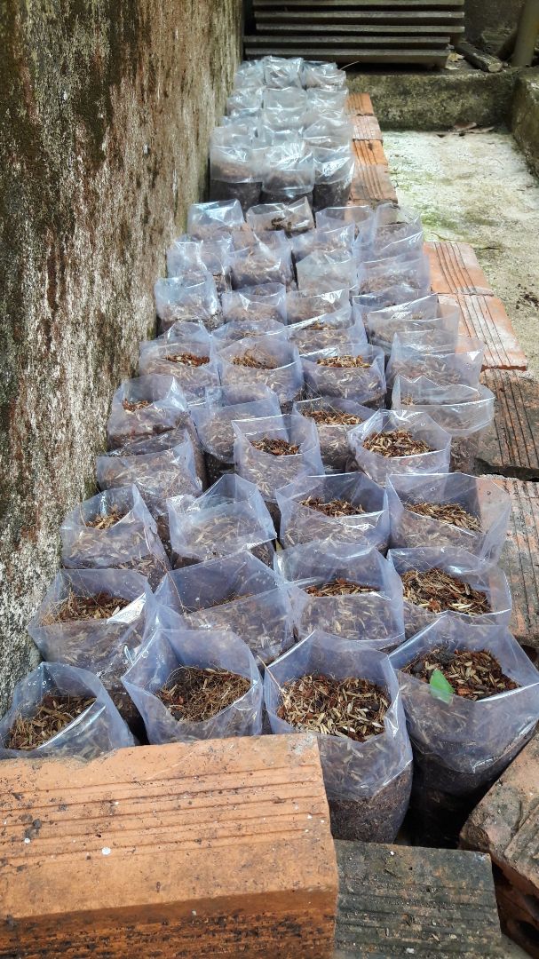 minh dang doi thanh q nhu the nao moi biet duoc.