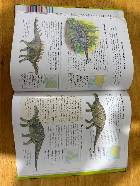 Sách rất tuyệt. Có cả bìa bánh mì nên giữ sách mới được khá lâu. Sách rất nhiều chữ, có hình ảnh nhưng chữ hơi nhiều, nên cân nhắc khi mua cho bé nhỏ tuổi, khoảng tầm  11, 12 tuổi thì mới nên mua. Sách có vài hình khá nhạy cảm như máu, thịt nên bé tâm lí yếu thì đừng mua. Đọc rất hay, nhiều thông tin và nhiều loài khủng long nhưng còn vài lỗi sai do sách xuất bản năm 2000s, thấy tái bản nhiều lần nhưng chưa sửa lỗi. Nói chung là đọc hay, nhiều loài khủng long và nên mua cho bé thích khủng long nhưng có vài lỗi sai và vài hình ảnh hơi nhạy cảm, hơi nhiều chữ, nên mua cho bé từ 10-13 tuổi là hợp lí.