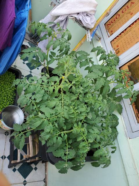 Xe chạy khỏe và êm. Bé thích chơi Xe chạy khỏe và êm. Bé thích chơi