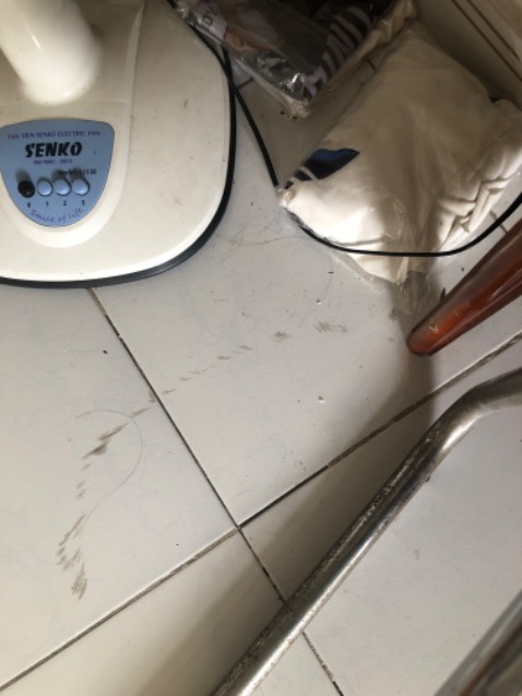 Hàng đẹp, nhìn rất dễ  thương, ship giao hàng nhiệt tình, tiki mãi đỉnh