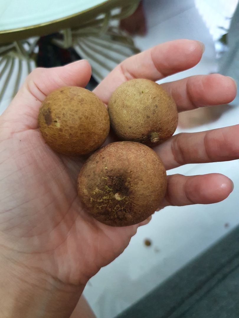 sách Thần số học chất giấy quá tuyệt, sờ vào là muốn đọc liền ngay luôn, cả 2 cuốn về chất lượng giấy là thấy ưng rồi. Sr vì hình ảnh ko liên quan